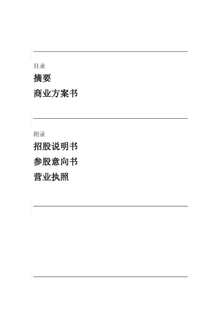 某投资股份公司商业计划指导书