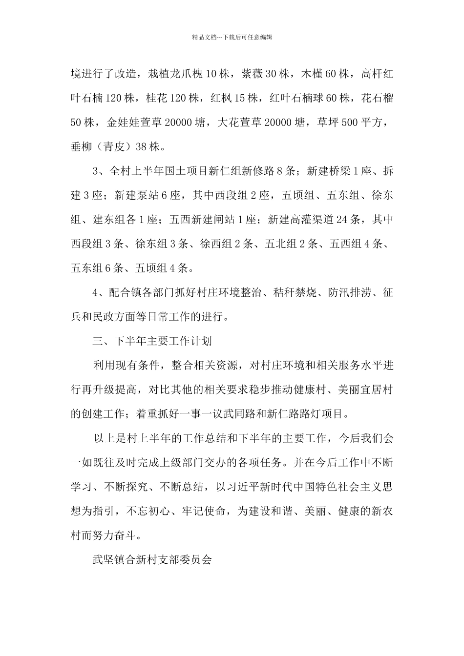 某村2024年上半年工作总结_第2页