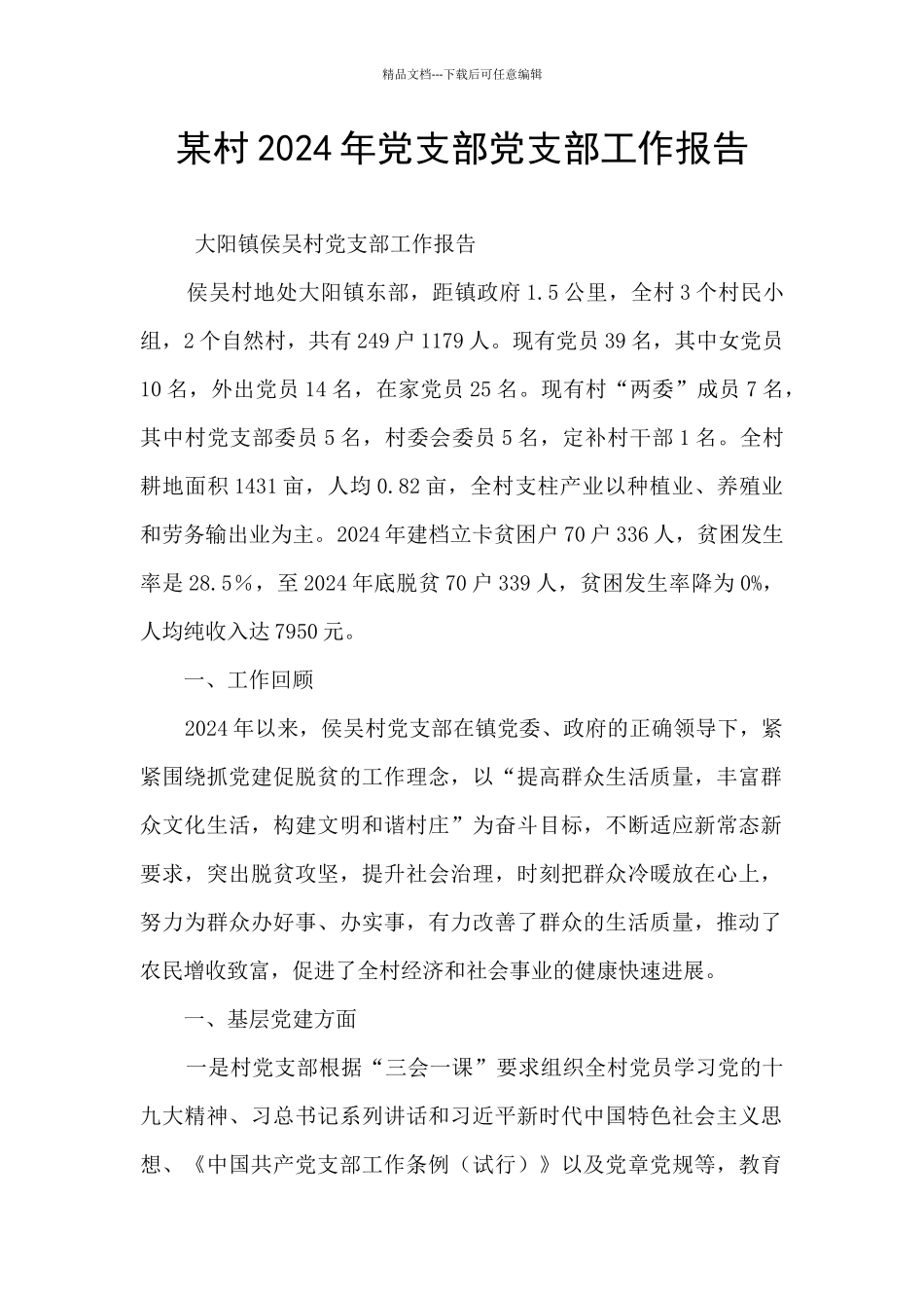 某村2024年党支部党支部工作报告_第1页