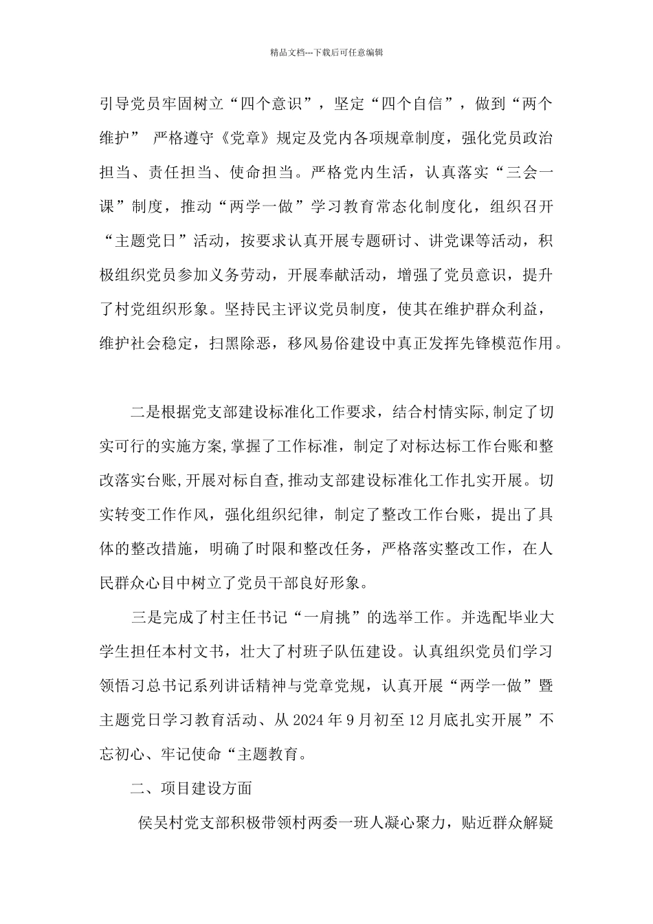 某村2024年党支部党支部工作报告_第2页