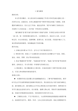 捅马蜂窝教学设计