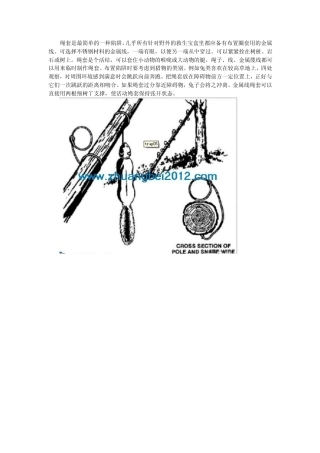 捕兽陷阱制作4(附图)