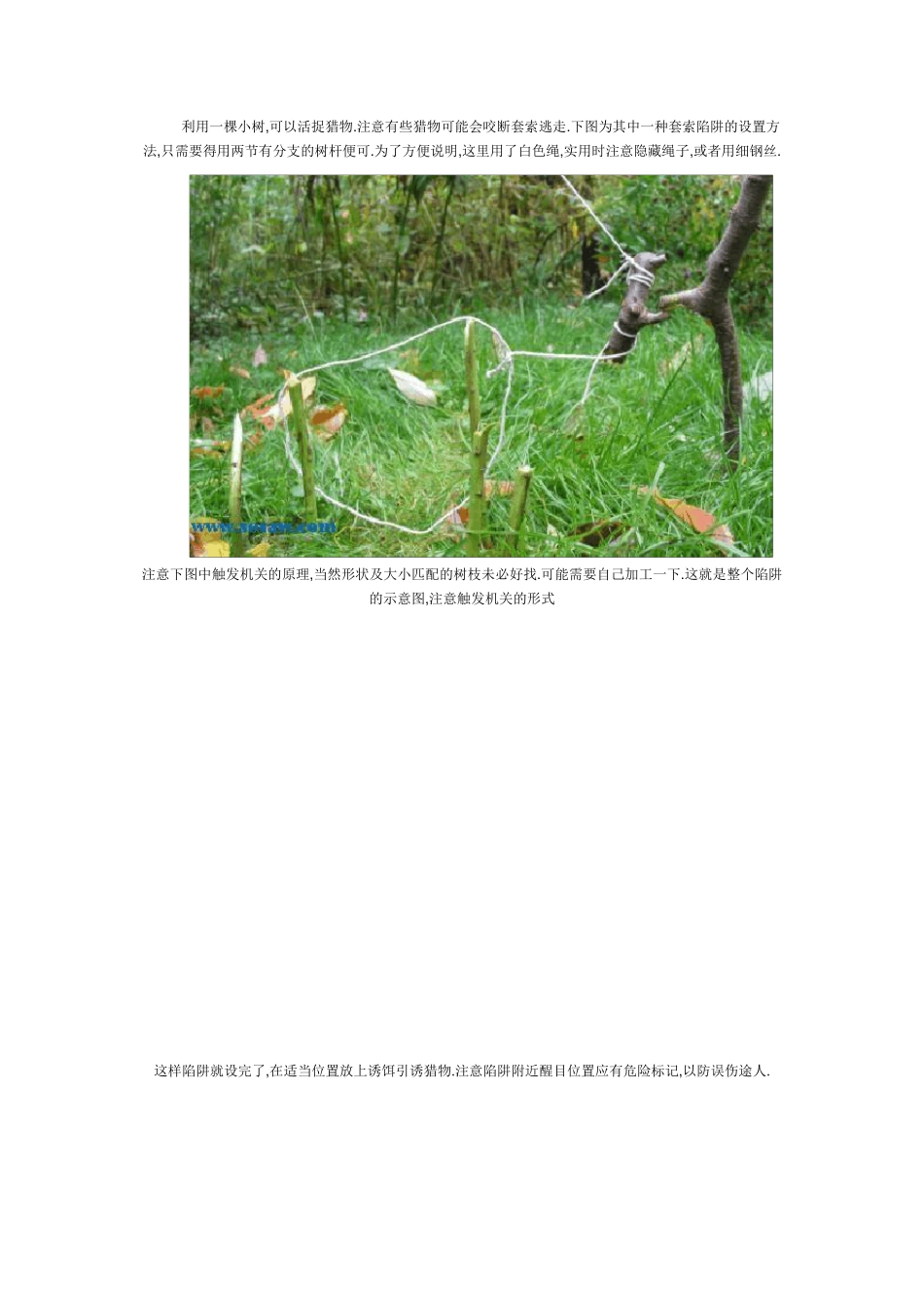 捕猎陷阱与下套_第1页