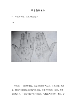 掌纹的名称、位置及代表意义