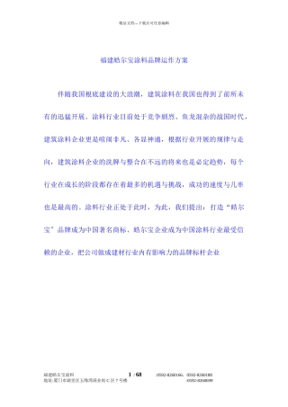某涂料有限公司品牌运作计划
