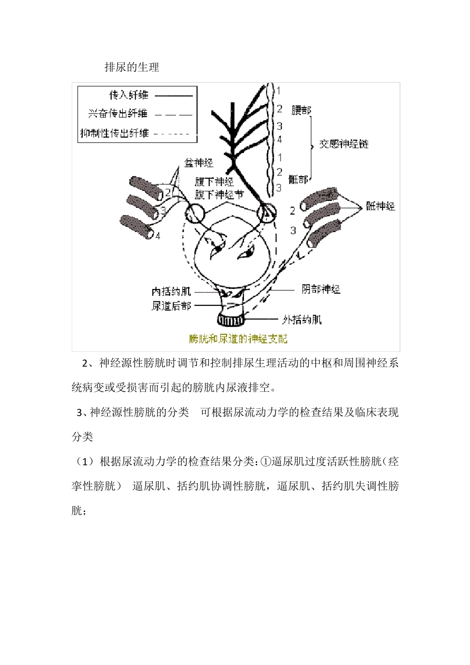 排尿障碍评定_第2页
