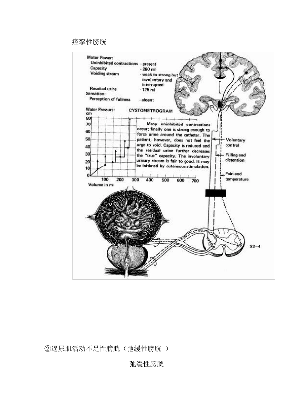 排尿障碍评定_第3页