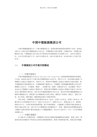 某能源集团公司介绍