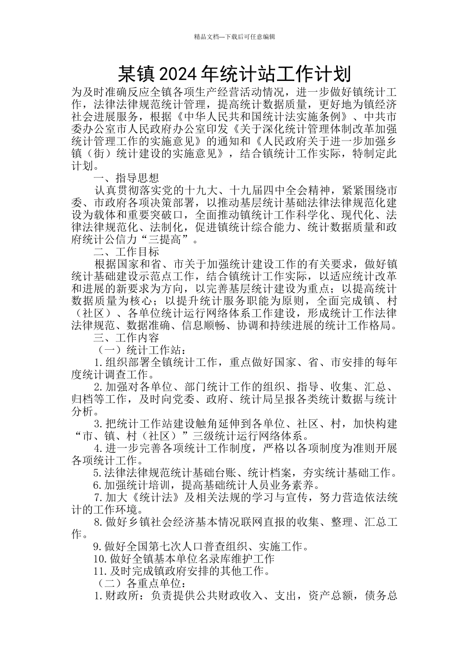 某镇2024年统计站工作计划_第1页