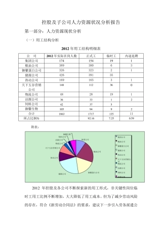 控股及子公司人力资源状况分析报告