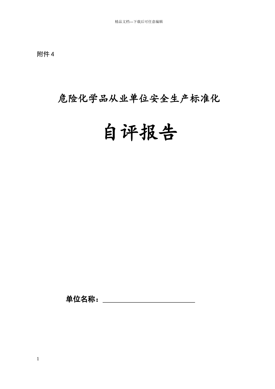 标准化自评报告_第1页