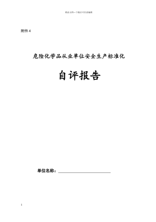 标准化自评报告
