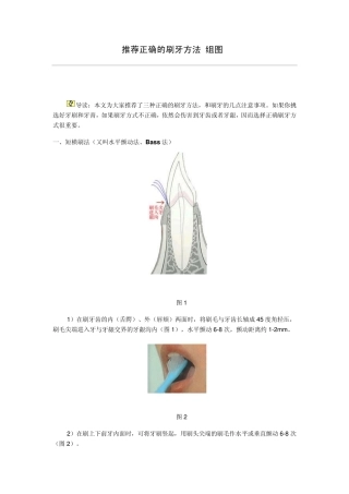 推荐正确的刷牙方法