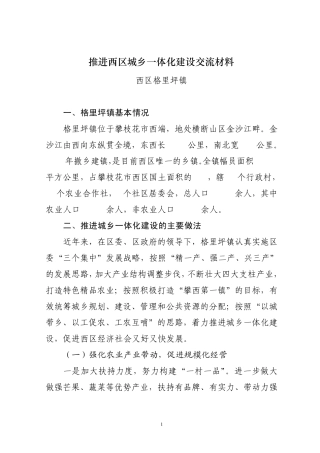 推进西区城乡一体化建设发言交流材料