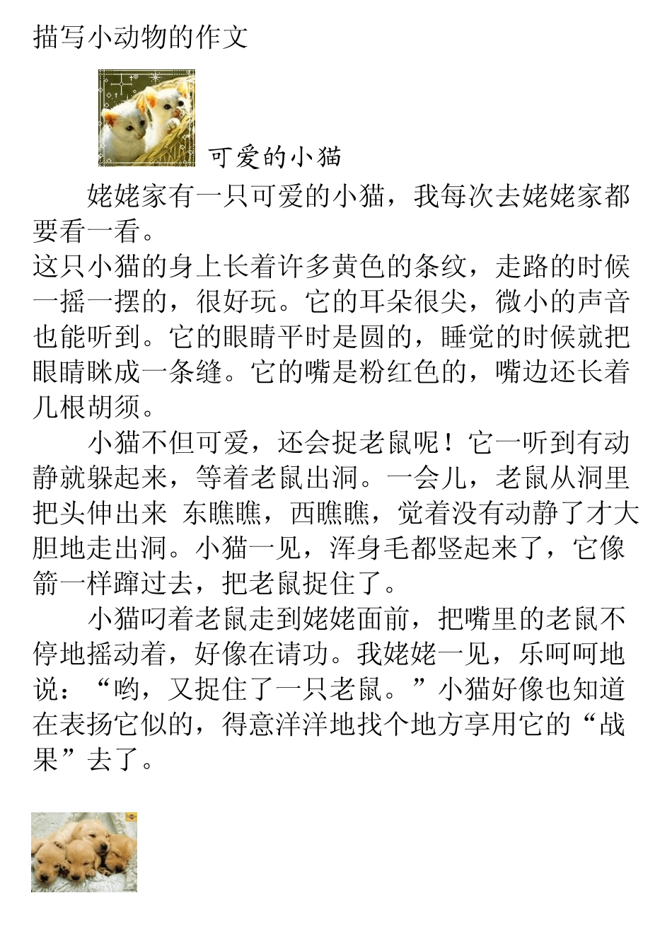 描写小动物的作文_第1页