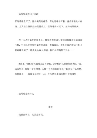 描写菊花的句子片段