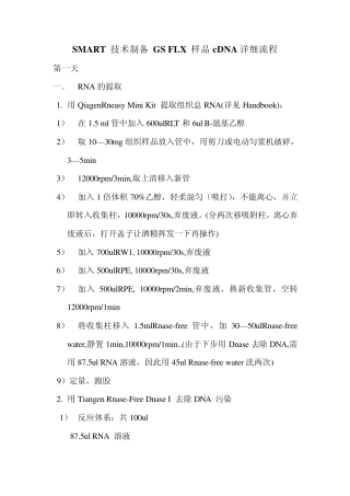 提RNA反转录的详细流程