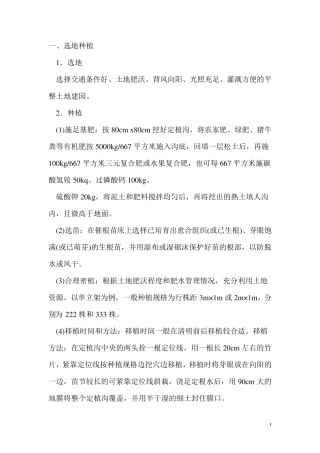 提子种植技术