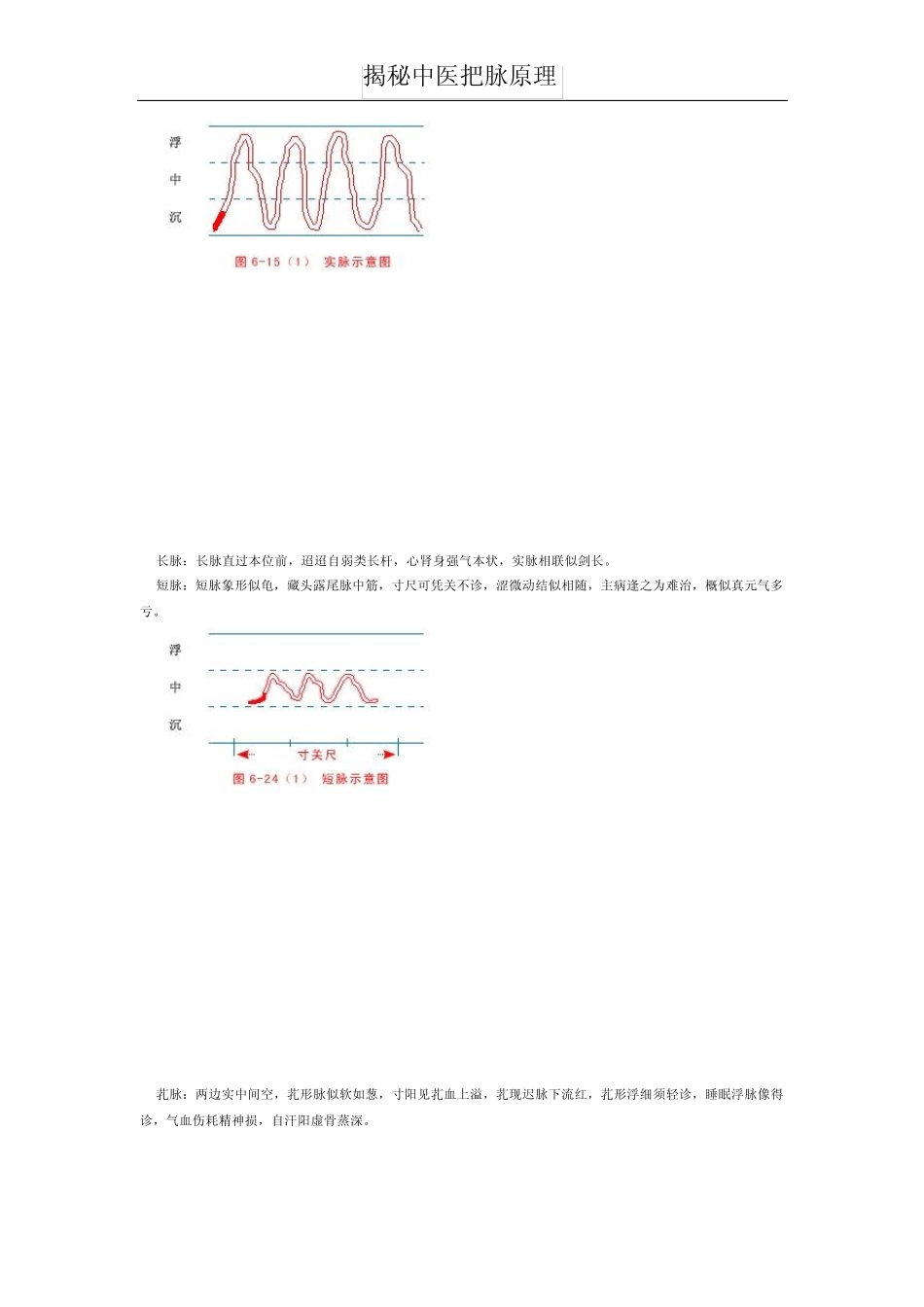 揭秘中医把脉原理_第2页