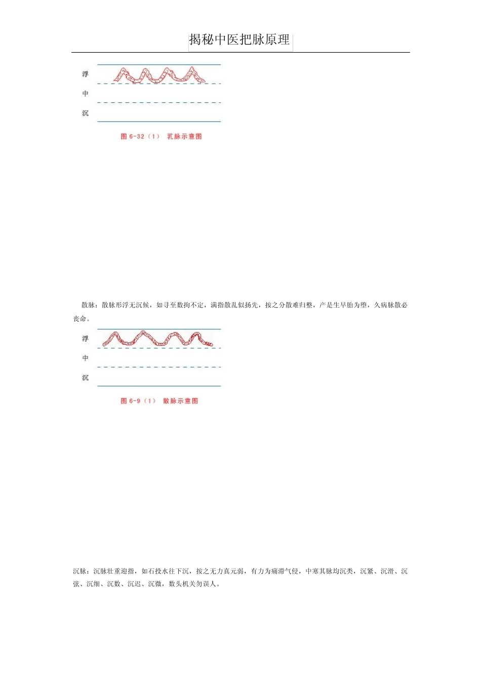 揭秘中医把脉原理_第3页