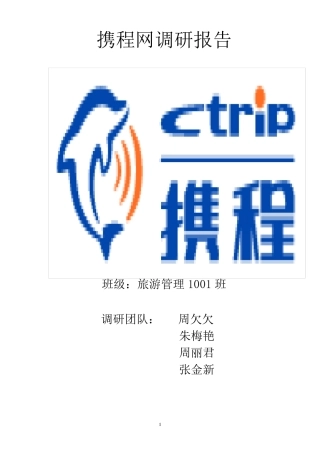 携程网调研报告