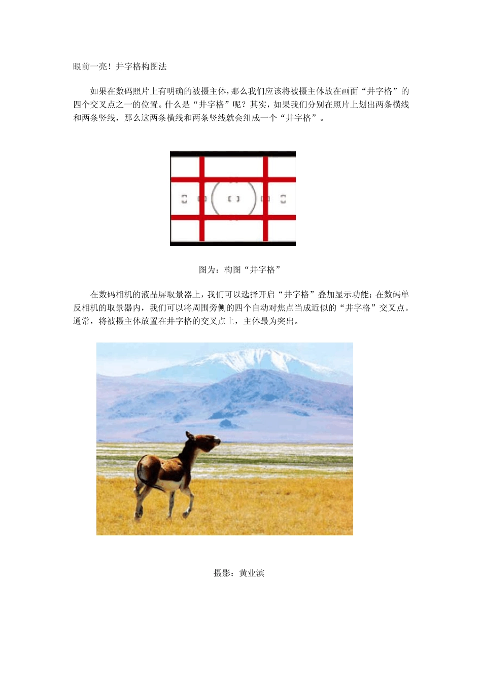 摄影入门基础速成宝典_第3页