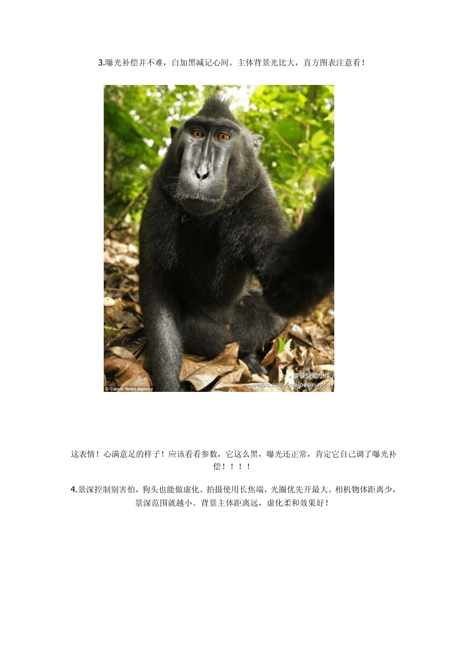 摄影实用技巧之顺口溜(详图解)_第2页