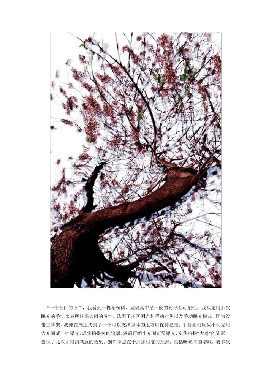 摄影爱好者必读叠加的艺术解析10种多次曝光拍摄技法_第2页