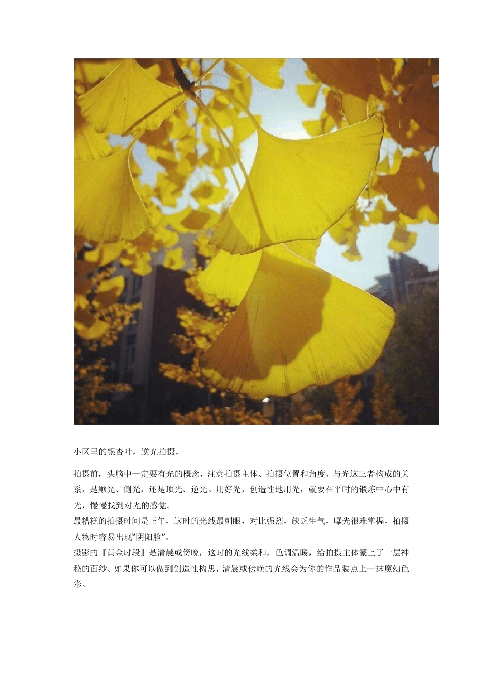 摄影爱好者必读9个简单实用的手机摄影技巧_第3页