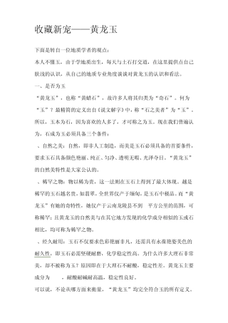 收藏新宠黄龙玉