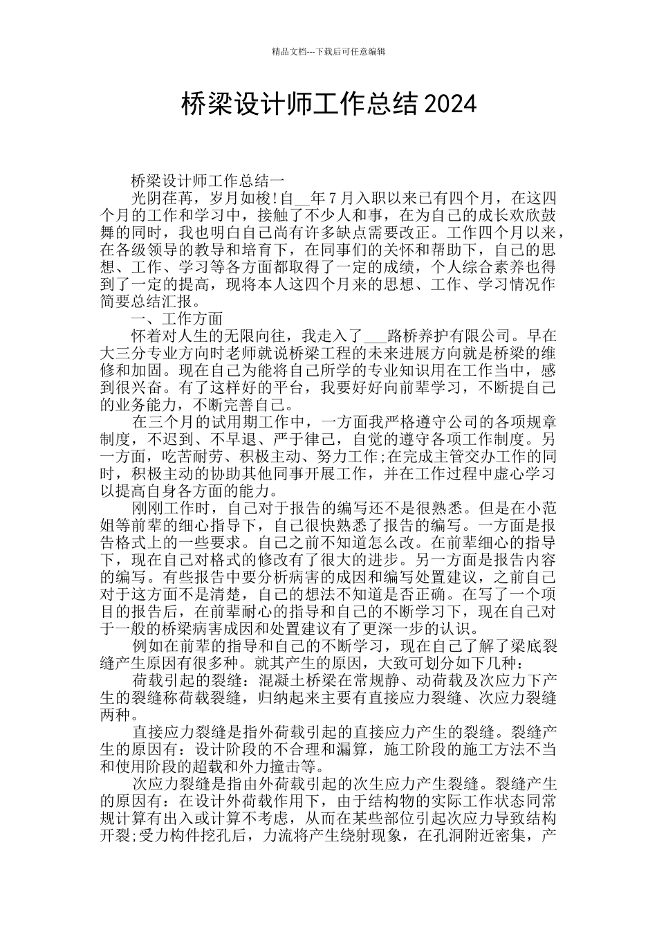 桥梁设计师工作总结2024_第1页