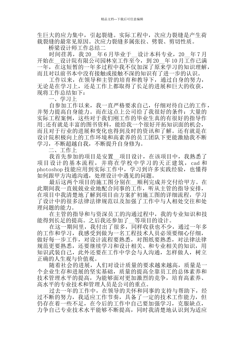 桥梁设计师工作总结2024_第2页