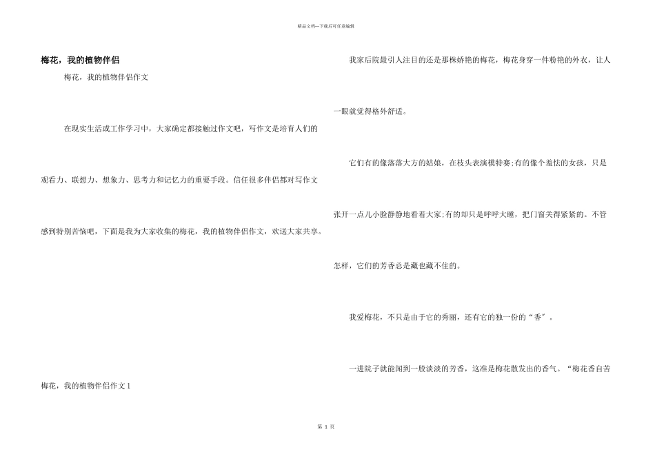 梅花，我的植物朋友_第1页
