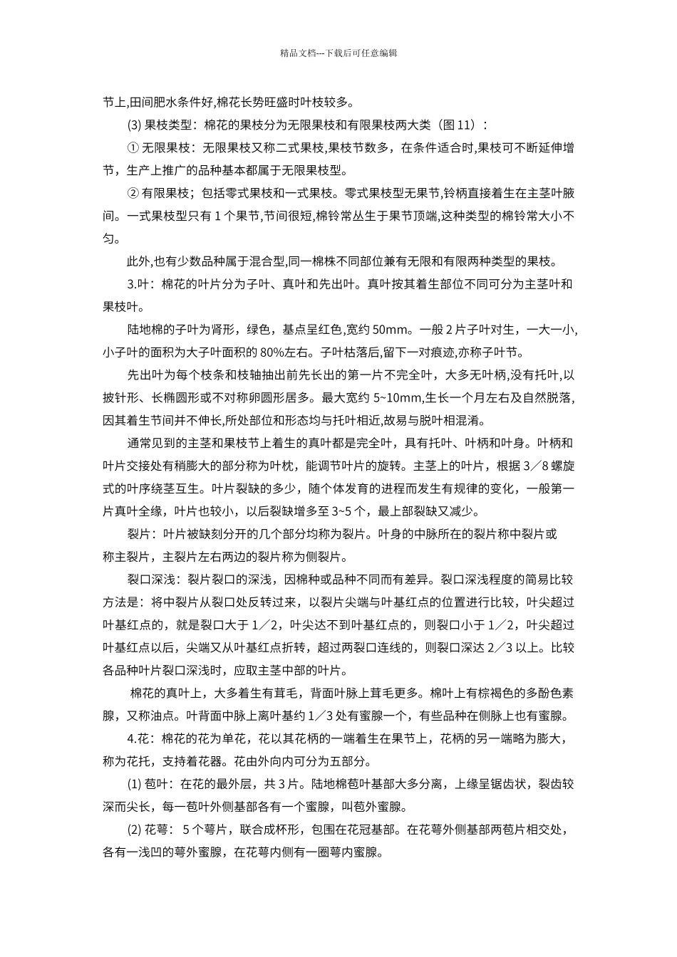 棉花的主要植物学形态特征观察_第2页