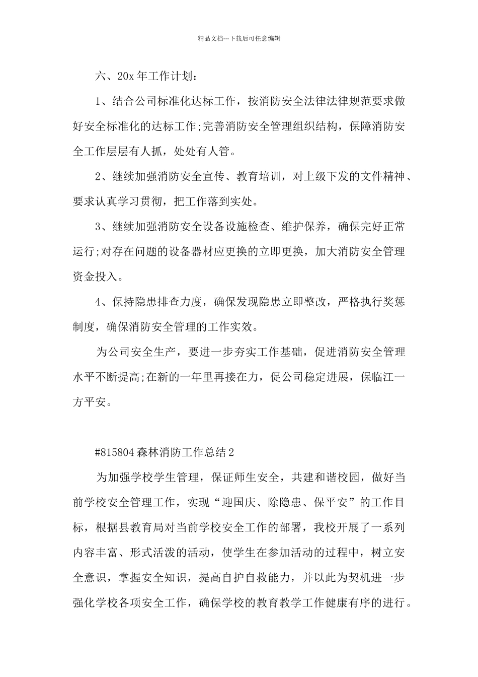 森林消防工作总结_第3页