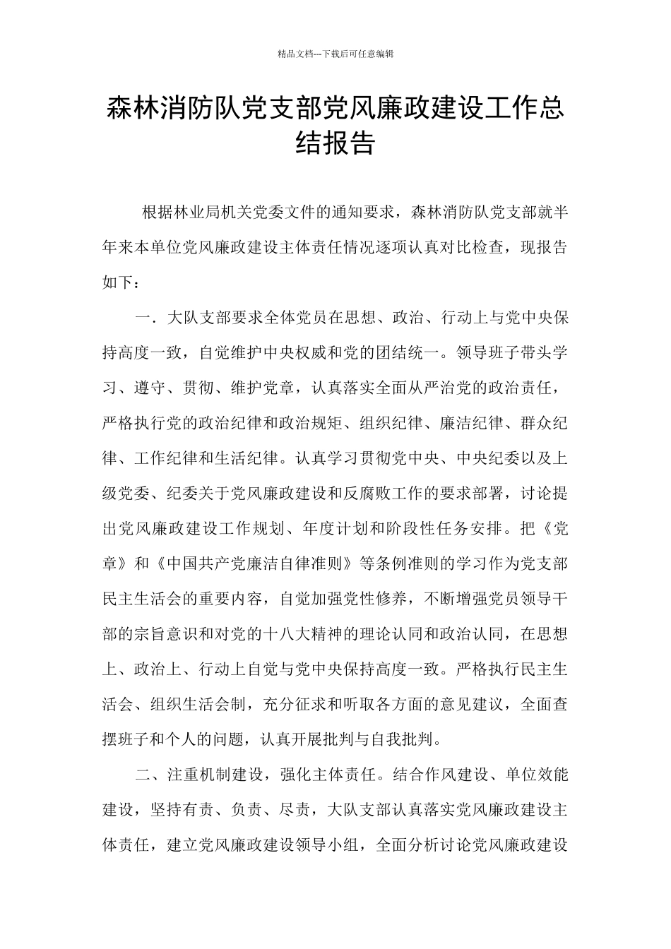 森林消防队党支部党风廉政建设工作总结报告_第1页