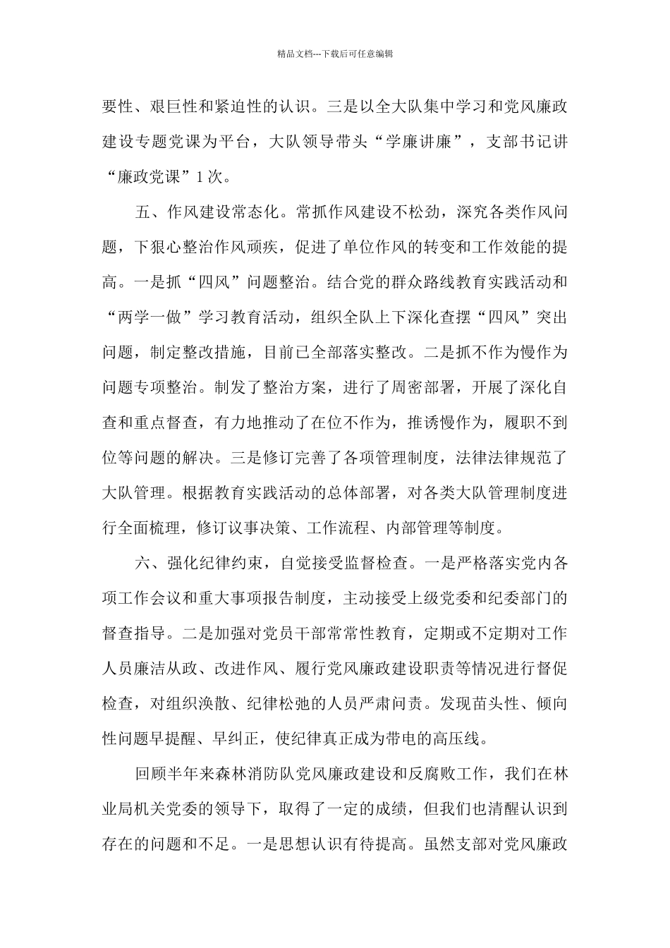 森林消防队党支部党风廉政建设工作总结报告_第3页