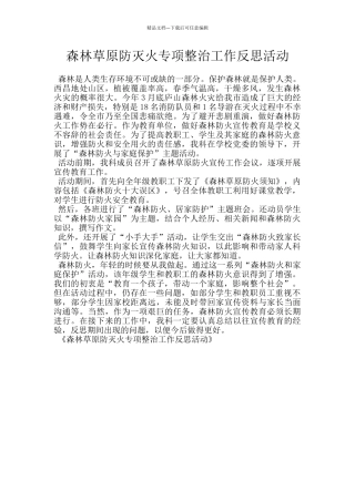 森林草原防灭火专项整治工作反思活动