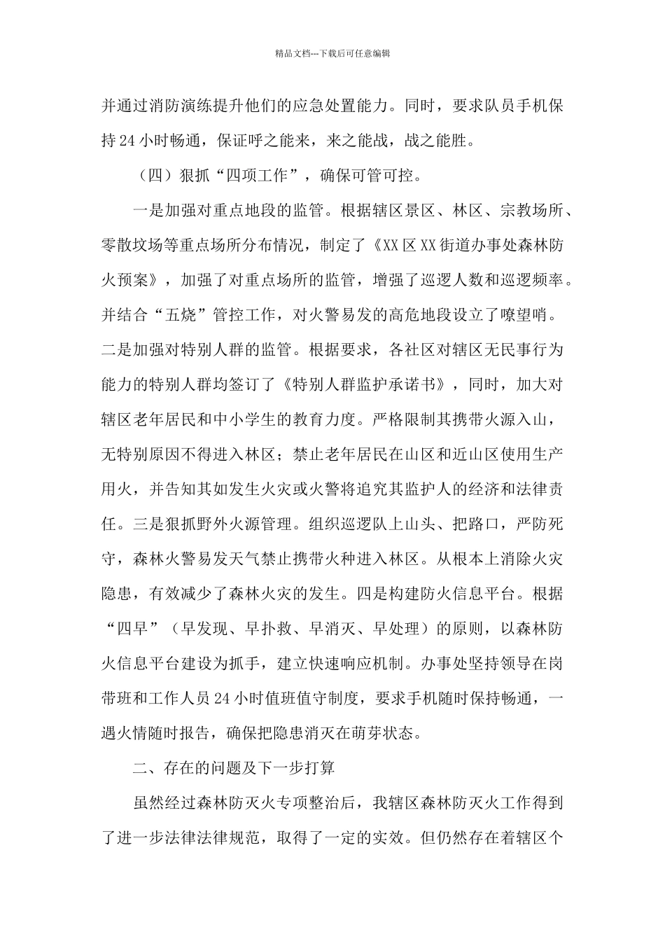 森林防灭火专项整治工作总结_第3页