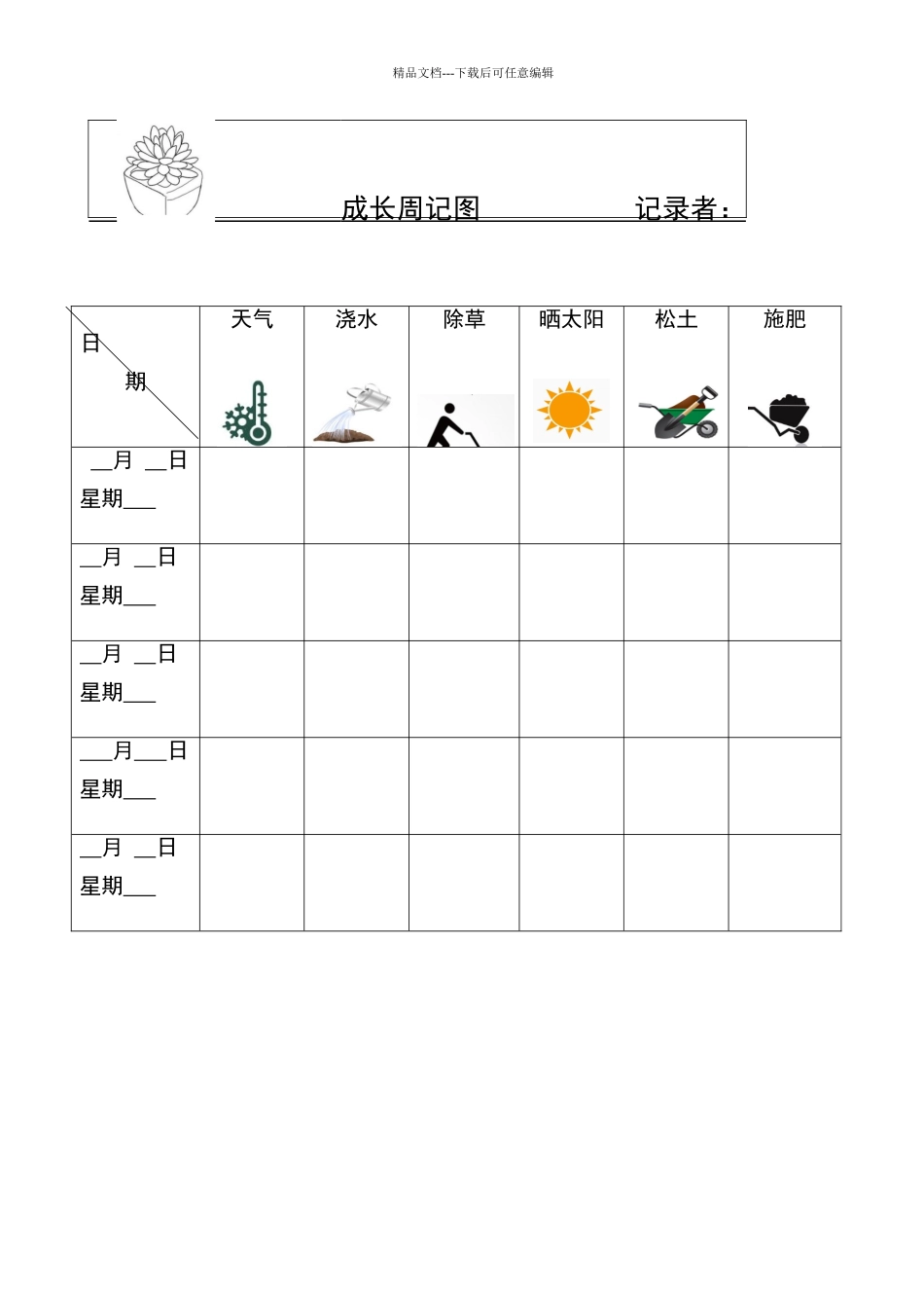 植物观察记录表_第2页