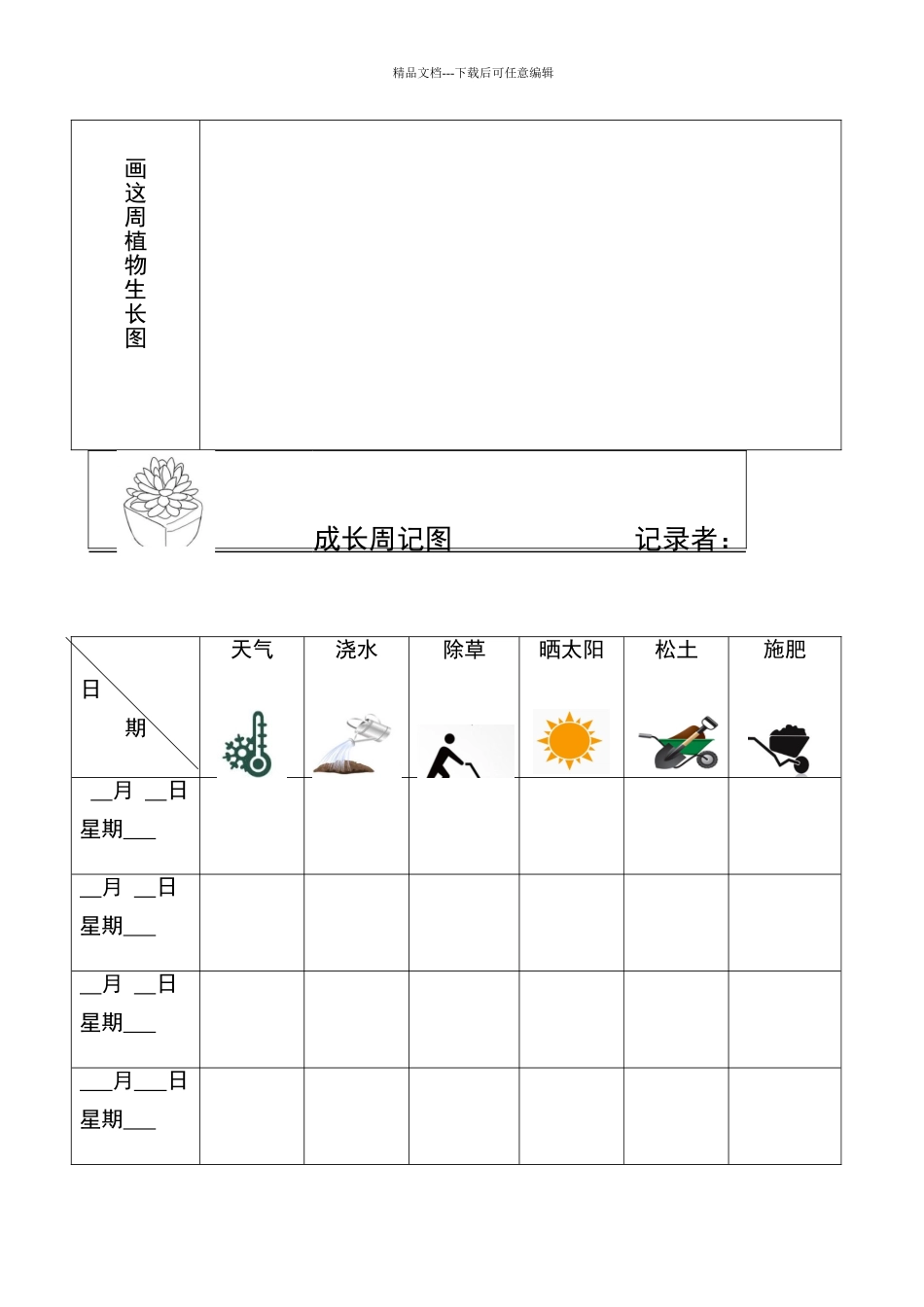 植物观察记录表_第3页