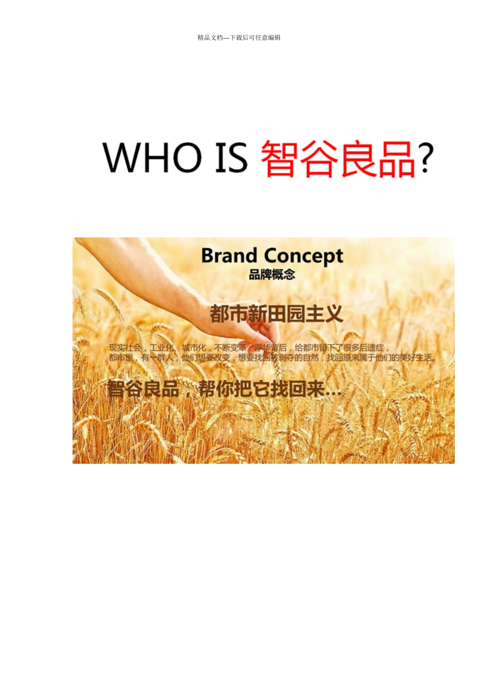 欧赛斯#智谷良品#健康品牌定位策划及全案服务解析_第3页