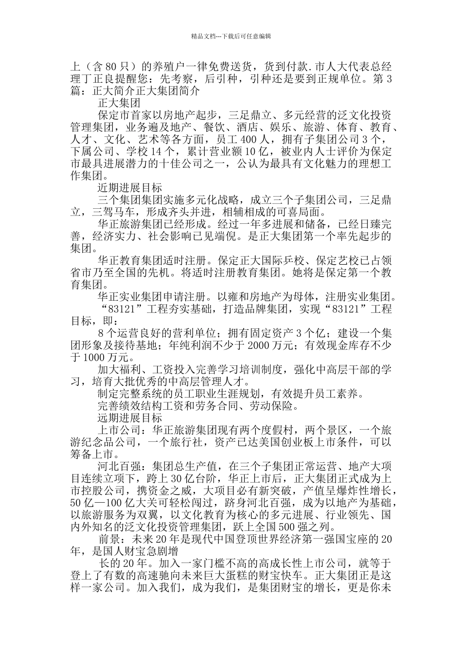 正大工作总结_第3页