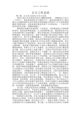 正大工作总结