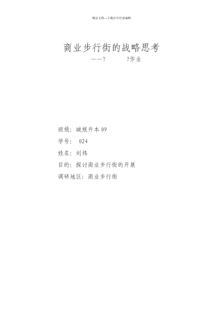步行街的战略思考