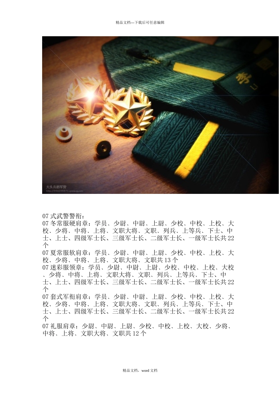 武警服装警衔臂章胸标_第2页