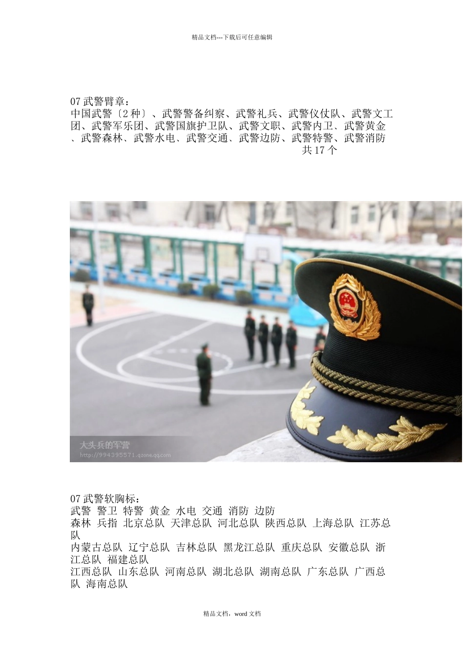 武警服装警衔臂章胸标_第3页