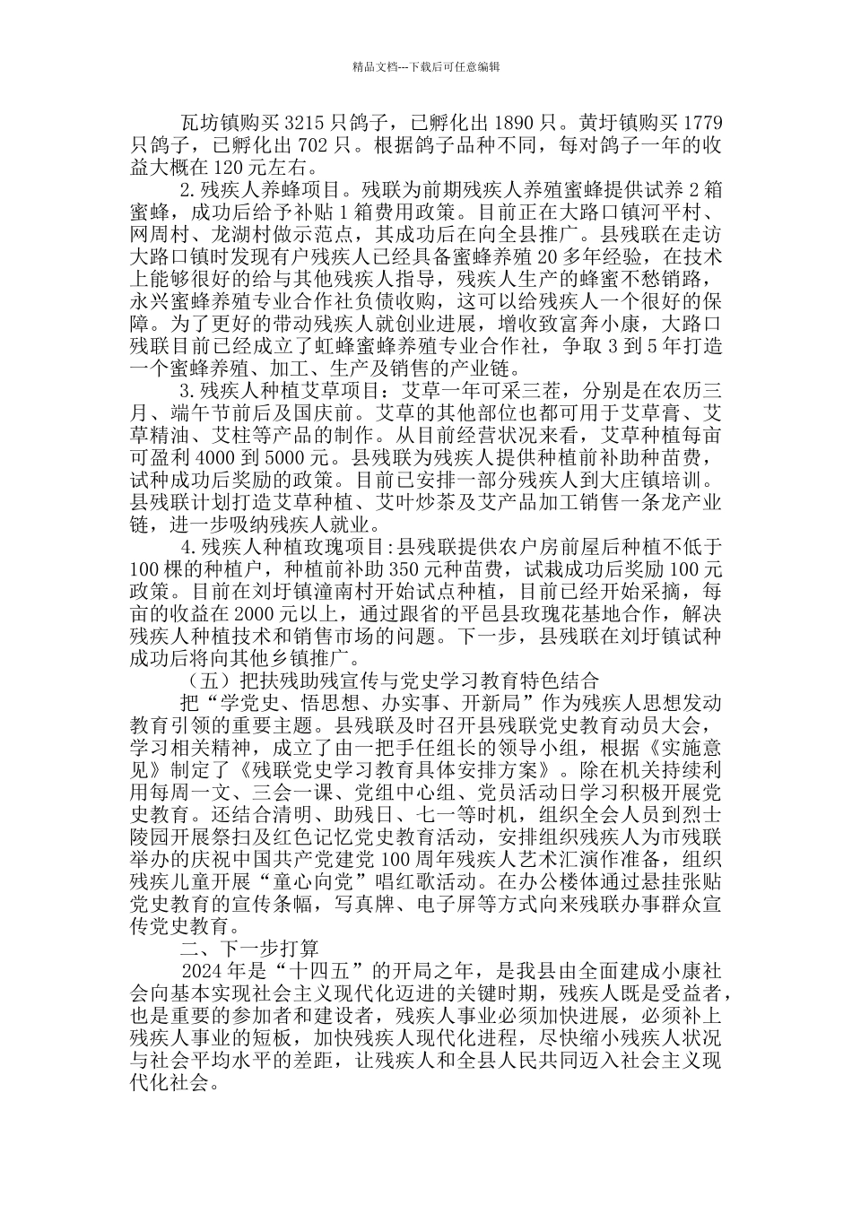 残疾人联合会下半年工作计划_第3页