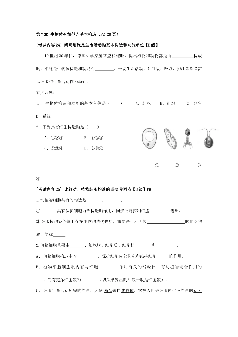 2025年考点归纳第4单元_第1页