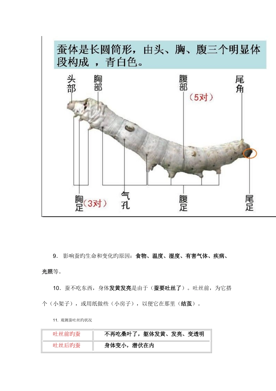 2025年第二单元动物的生命周期知识点整理_第3页